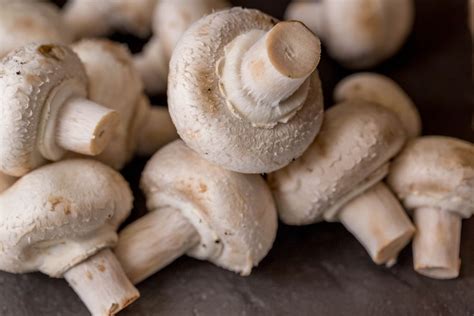 Raw mushrooms on a white background - Creative Commons Bilder