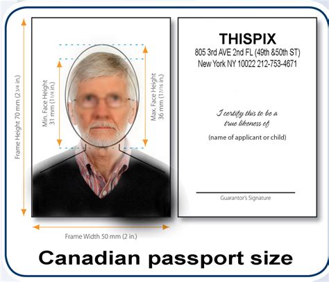 Canadian Passport Photos - ThisPix Passport Photo & Professional Headshot Studio