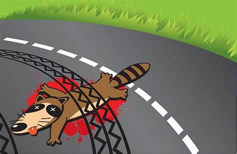 Top 60 Roadkill Clip Art, Vector Graphics and Illustrations - iStock