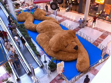 How Big Is The World's Biggest Teddy Bear?