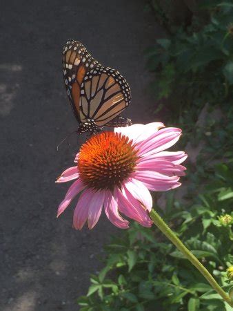 Zoo Boise (ID): Top Tips Before You Go - TripAdvisor