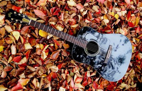 Acoustic Autumn: Ten Tours You Should See in 2014 | Guitar World