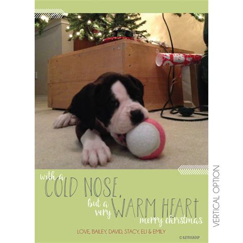 Cold Nose But Warm Heart Holiday Photo Card | KateOGroup