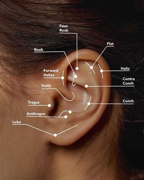 34 Types of Ear Piercings: Trends and Inspiration for 2022 - Womanstrong