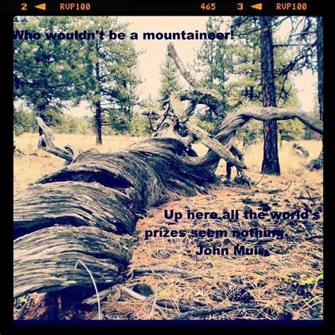 Yosemite John Muir Quotes On. QuotesGram