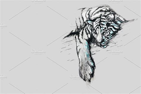 Tigers | Pre-Designed Photoshop Graphics ~ Creative Market