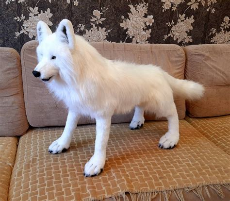 Realistic plush white wolf toy Collectible pet toy Replica for | Etsy