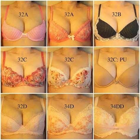 What is the difference between B, C, and D bra sizes? - Quora, c vs d ...