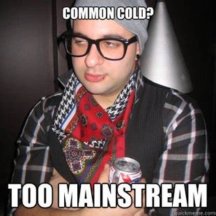 Hipster Kitty Meme Meme Generator