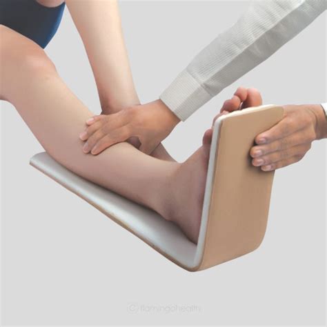 Short Leg Splint – Flamingo Health