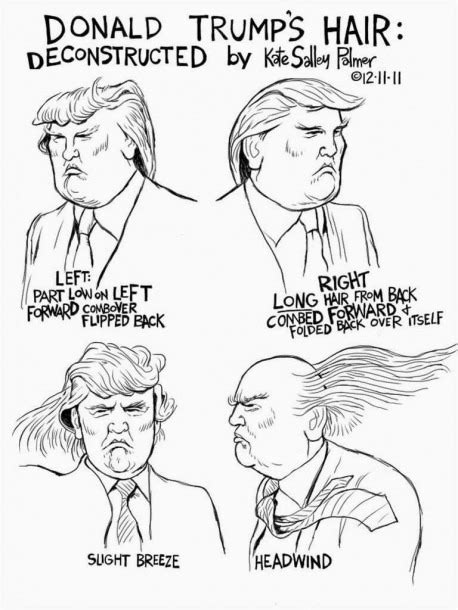 Donald Trump Hair Diagram