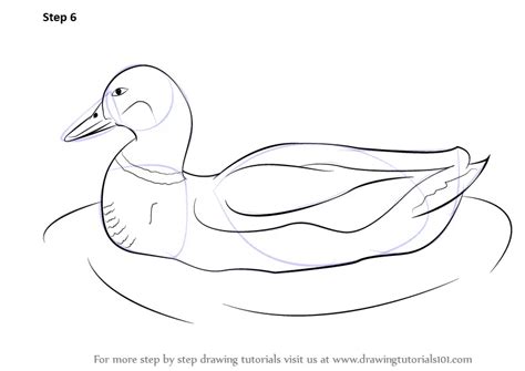 Learn How to Draw a Duck (Farm Animals) Step by Step : Drawing Tutorials