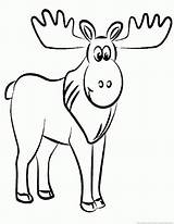 Moose Coloring Pages  Part 5 sketch template