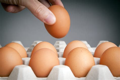 Not All Organic Eggs Are Created Equal--Best & Worst Egg Brands