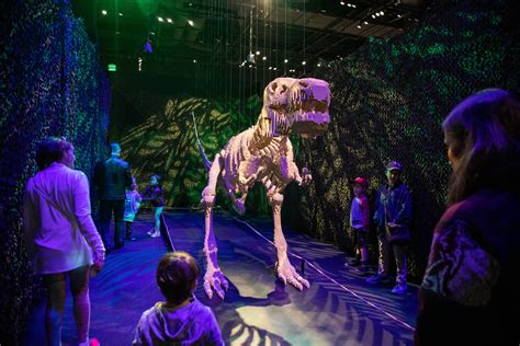 The California Science Center Has a New Exhibit You Don't Want to Miss