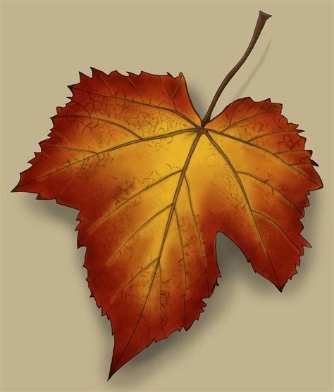 Grape Leaf by beautiful-zhang-he.deviantart.com on @deviantART | Wine leaves, Grape plant, Leaves