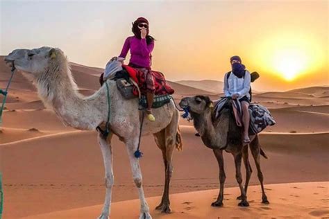 ⇒ The 10 Best Morocco Desert Tours & Sahara Trips With Prices