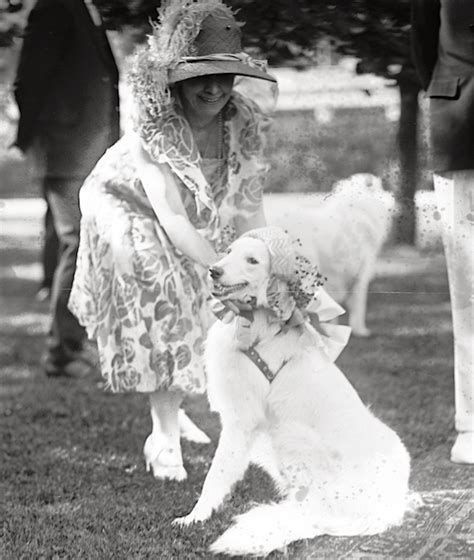 Calvin Coolidge's Dog, Prudence Prim - Presidential Pet Museum