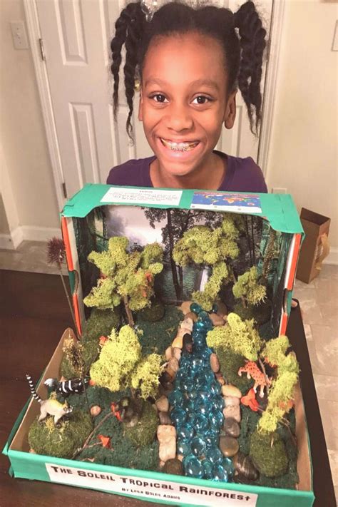 Full tutorial on an easy DIY tropical rainforest diorama for elementary school projects… in 2020 ...