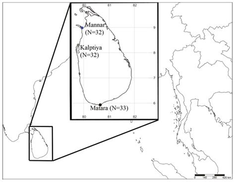 Genetic identification and hybridization in the seagrass genus Halophila (Hydrocharitaceae) in ...