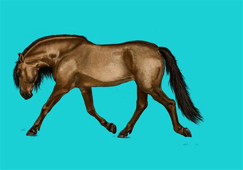 Download Horse, Digital Painting, Digital Artwork. Royalty-Free Stock Illustration Image - Pixabay