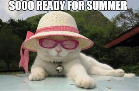 91 Hot Summer Memes - Funny Memes