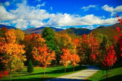 Dorset, Vermont - Charles Macintosh | Photo, Autumn leaves, Fall colors