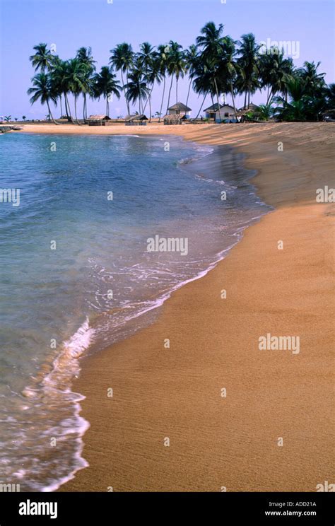 Tropical beach, Ivory Coast Stock Photo - Alamy