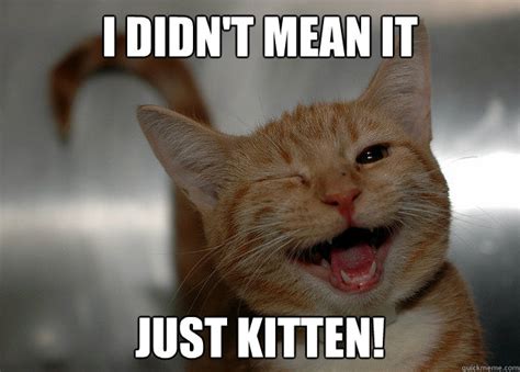 Winking kitten memes | quickmeme