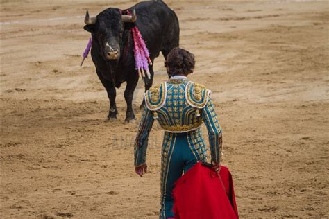 Bullfighting returns to Colombia’s capital amid controversy - Anadolu Ajansı