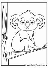 Koalas Coloring Pages Updated 2021 sketch template