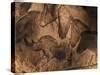 'Stone-age Cave Paintings, Chauvet, France' Photographic Print - Javier Trueba | AllPosters.com