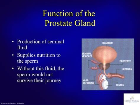 Prostate Cancer or Not