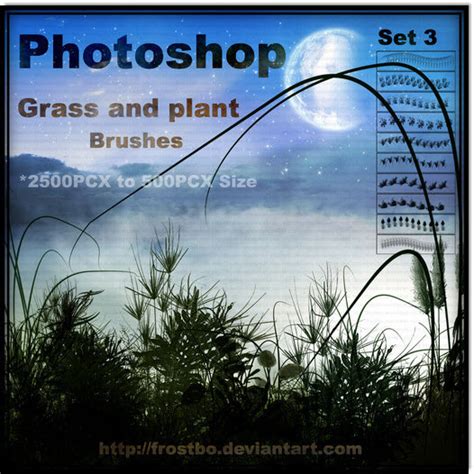 50+ New and Free Photoshop Brush Packs - Articles - DMXzone.COM