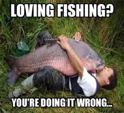 30 Funny Fishing Memes for Guaranteed Giggle – SheIdeas