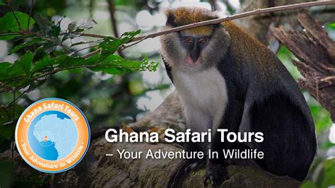 Gallery - Ghana Safari Tours