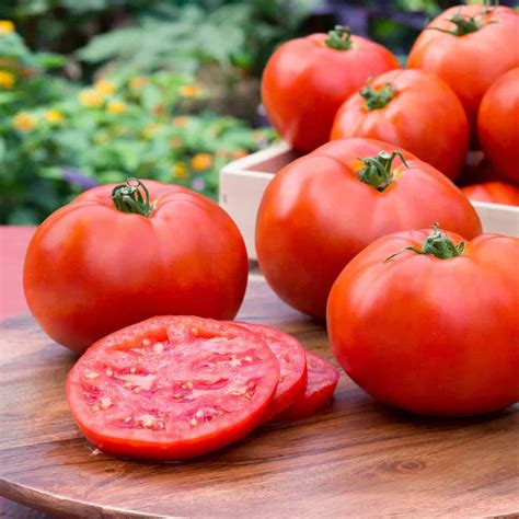 Types of Tomatoes: 20 Best Tomato Varieties to Grow