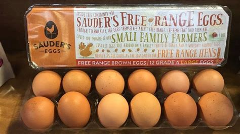 13 Best Egg Brands, Ranked