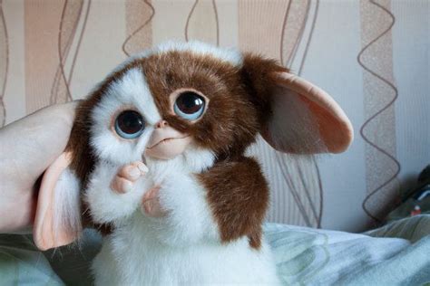 Gizmo Mogwai gremlins in 2021 | Cute fantasy creatures, Gremlins gizmo, Gremlins