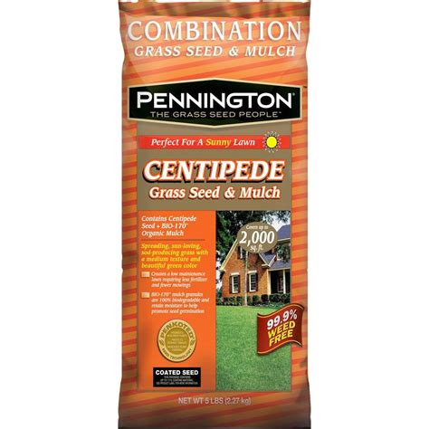 Tifblair Centipede Grass Seed | AdinaPorter