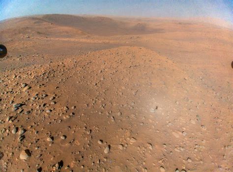 NASA's Perseverance Mars Rover on Twitter: "Spot the Spacecraft – a ...