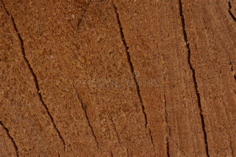 Wood Texture of Cracked Old Aspen Stock Photo - Image of material ...