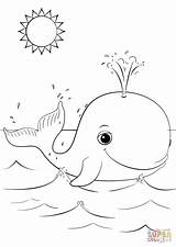 Coloring Page Whale  KECE ART sketch template