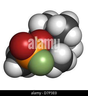 Soman nerve agent, molecular model. Soman is a chemical weapon ...