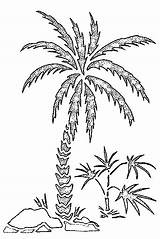 Free Printable Palm Tree Coloring Pages  Date Palm Coloring sketch template