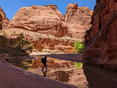 Buckskin Gulch and Paria Canyon Backpacking Guide