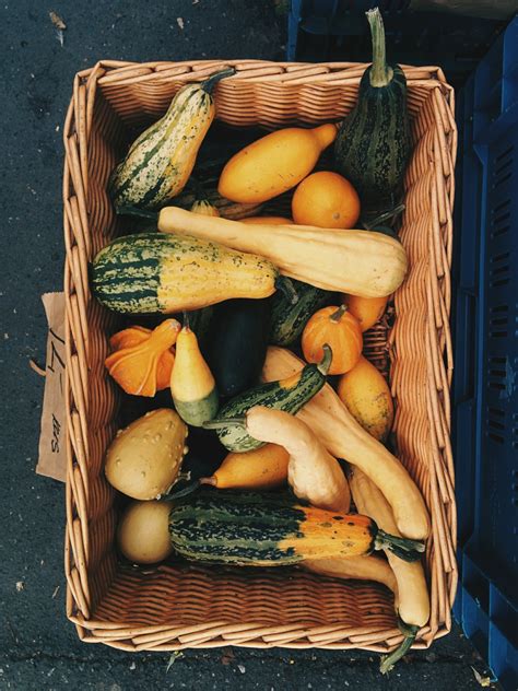 Free Images : winter squash, still life photography, local food, gourd ...