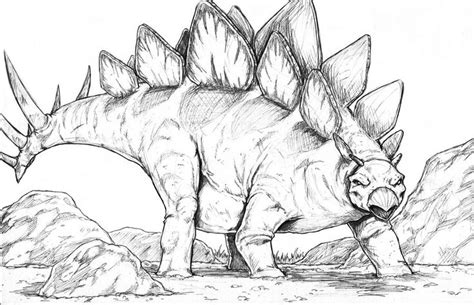 Stegosaurus | Dinosaur drawing, Creature drawings, Dinosaur art