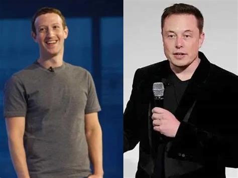 Elon Musk vs Mark Zuckerberg cage fight: Will they fight for real? What ...