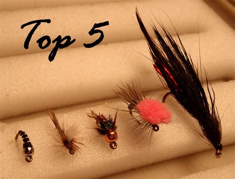 Colorado Fly Fishing Reports: Best 5 Flies for Boulder Creek